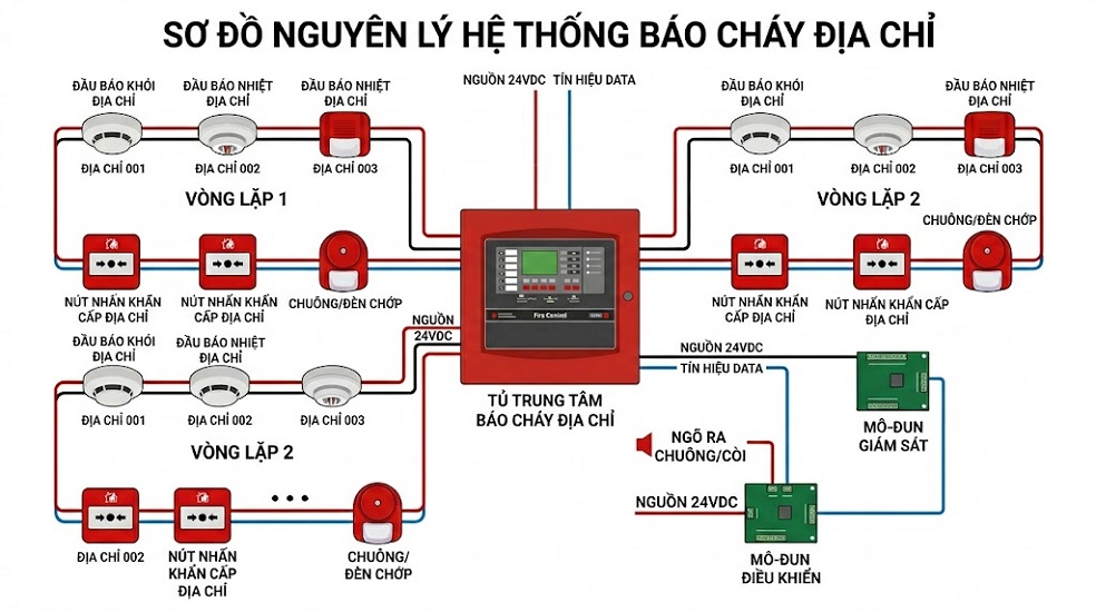 BÁO CHÁY ĐỊA CHỈ